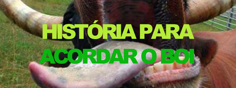História para acordar o boi