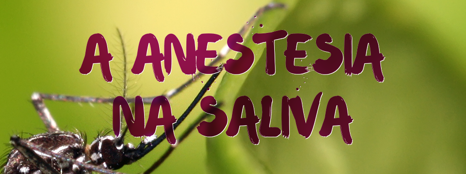 A anestesia na saliva