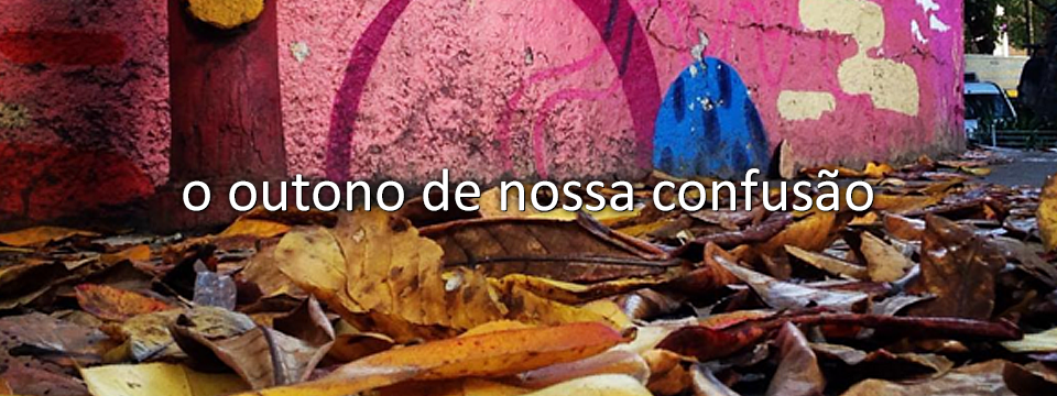 O OUTONO DE NOSSA CONFUSÃO