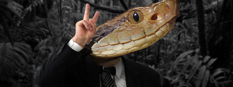 De paz e amor a jararaca