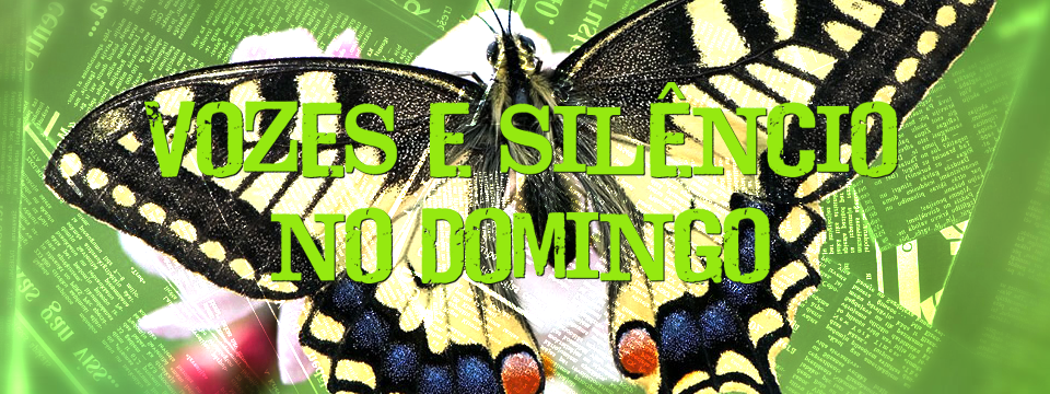 Vozes e silêncio no domingo