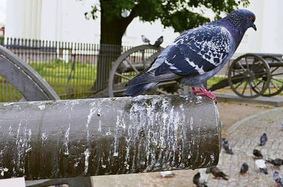 A cidade que resiste até o fim