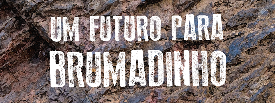 Um futuro para Brumadinho