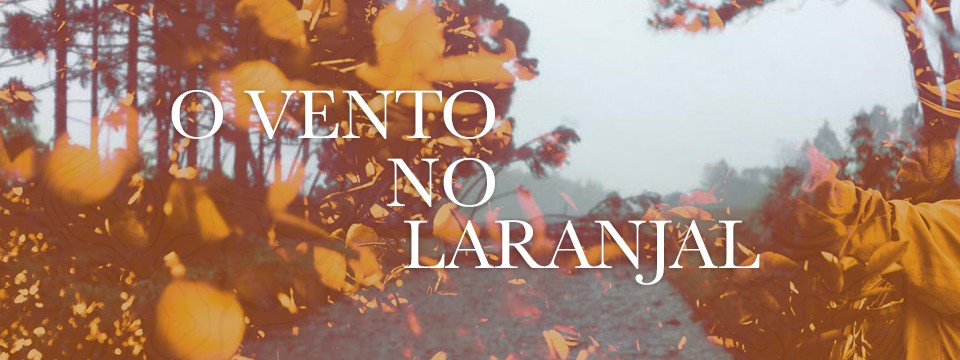 O vento no laranjal brasileiro