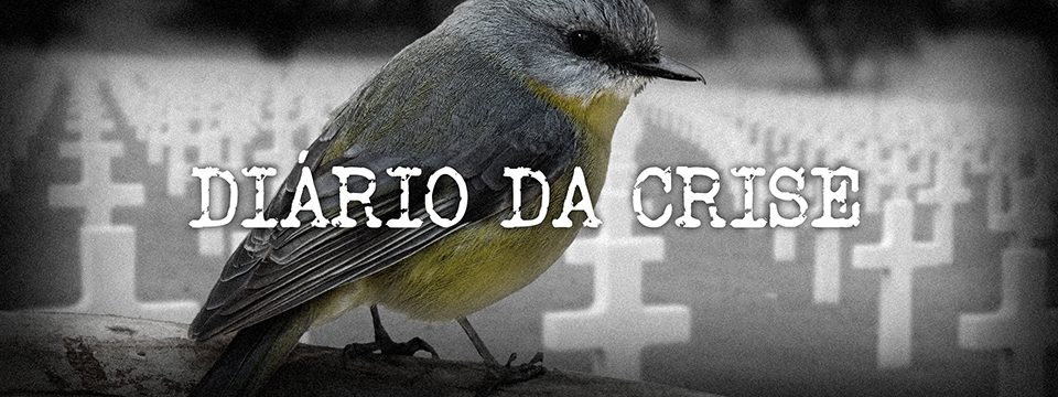 Diário da crise XII