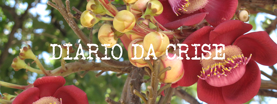 Diário da crise LXI
