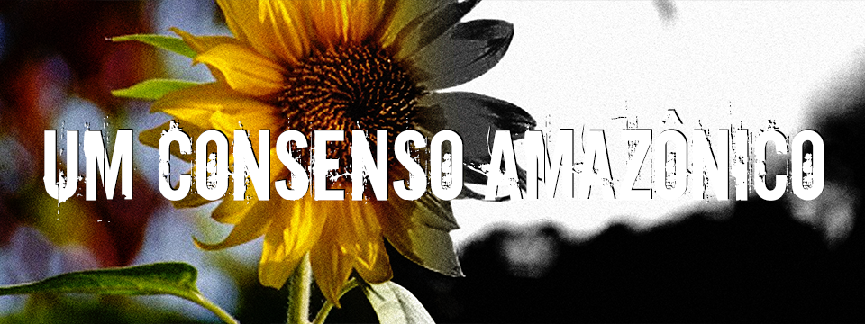 Um consenso amazônico