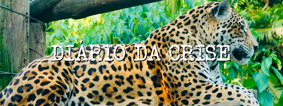 Diário da crise CLXXIX