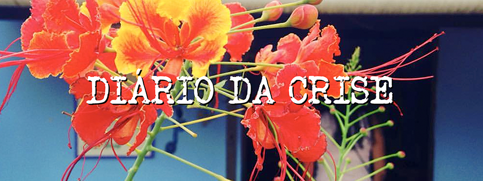 Diário da crise CXCII