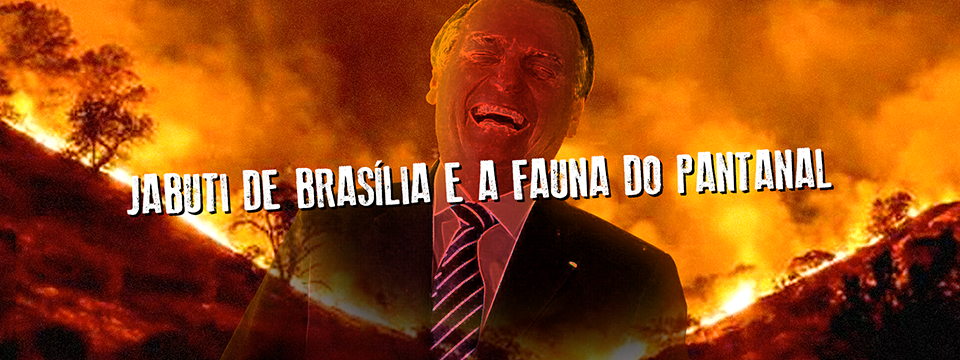 Jabuti de Brasília e a fauna do Pantanal