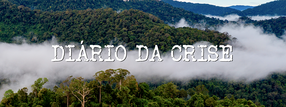 Diário da crise CCVIII