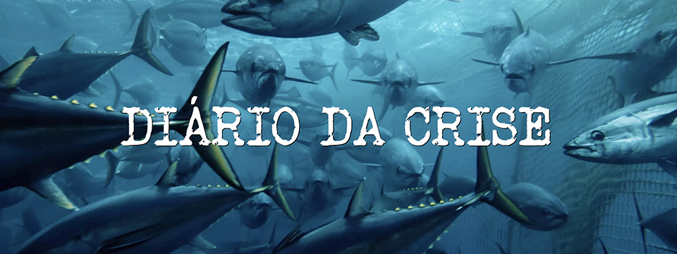 Diário darias CCCLXXIX