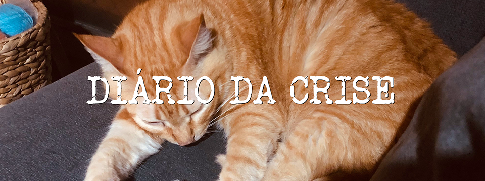 DIÁRIO DA CRISE CDLX