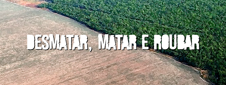 Desmatar, matar e roubar