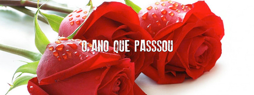 O ano que passou